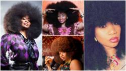 Woman with biggest afro in the world breaks record with her full beautiful hair
