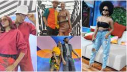 Groovy, Phyna, Sheggz, other BBNaija Level Up housemates in interesting relationships and situationships