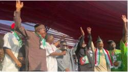 2023: Fani-Kayode reacts as Afenifere Leader Pa Adebanjo shuns Tinubu, graces Obi’s rally in Ibadan