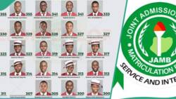 JAMB 2024 top scorers: Catholic school in north shows faces of over 20 UTME students with above 300