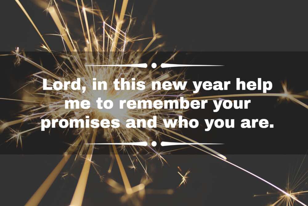 send happy new year greetings send happy new year greetings