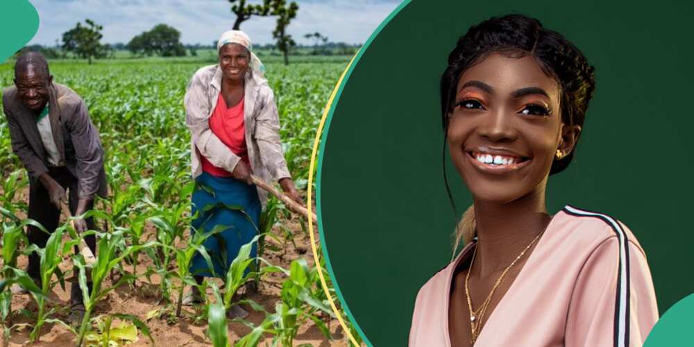 Agric Expert Sharon Idahosa Details How Nigeria Can Grow More Food ...