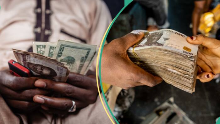Currency dealers quote new rates as dollar crashes against the naira in all markets