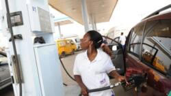 Petrol marketers to commence sale of cheaper fuel, give timeline as diesel nears to N2,000/litre