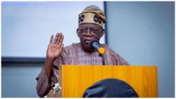 Workers’ Day: Tinubu sends powerful message to Nigerians