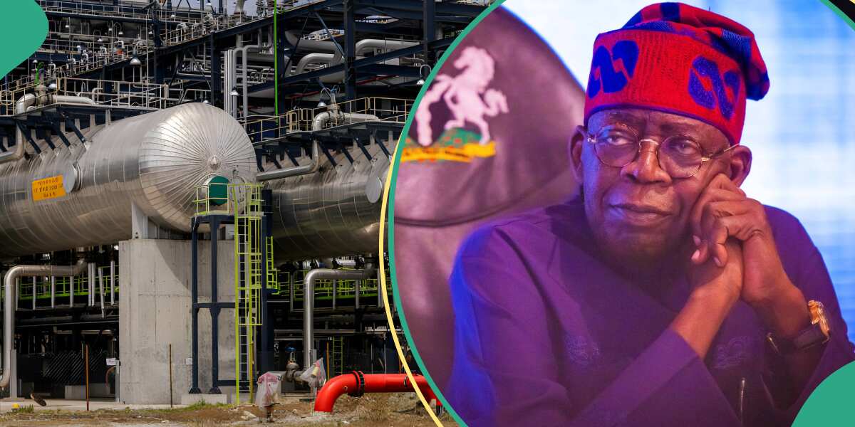 Revealed! Reasons foreign investors stop investing in Nigerian refineries after completion of Dangote's