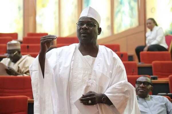 Senator Ndume says Boko Haram murdered over 70 elders in his hometown in one night