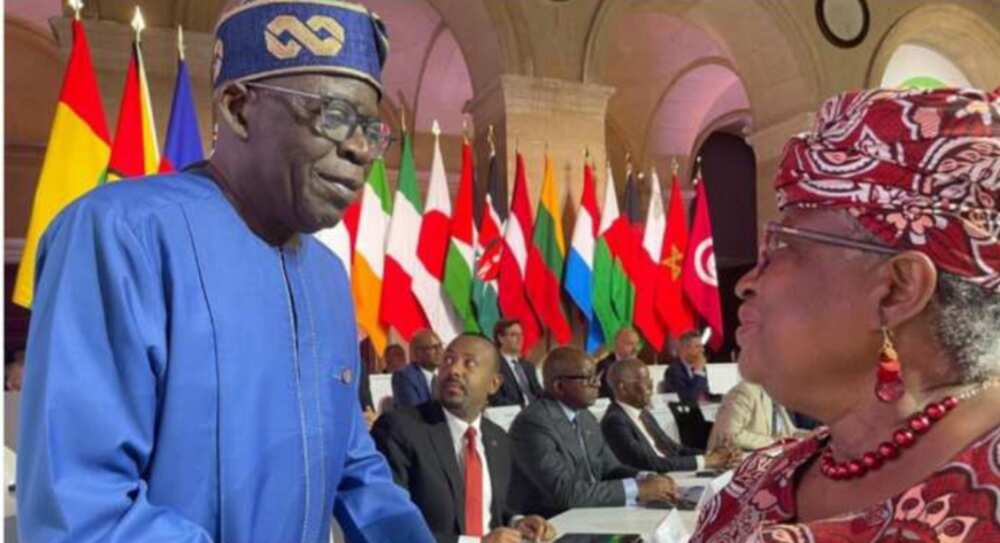 President Bola Tinubu/Ngozi Okonjo-Iweala/APC/Ali Pate