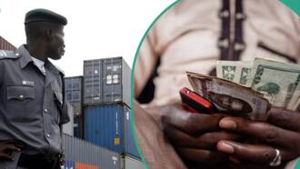Nigerians to pay more for iPhone, cars as CBN increases Customs dollar rate to clear goods at ports