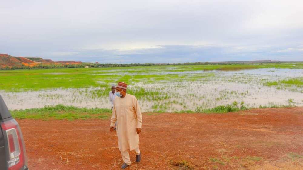 Kebbi flood: Buhari reacts to deaths, destruction of farms