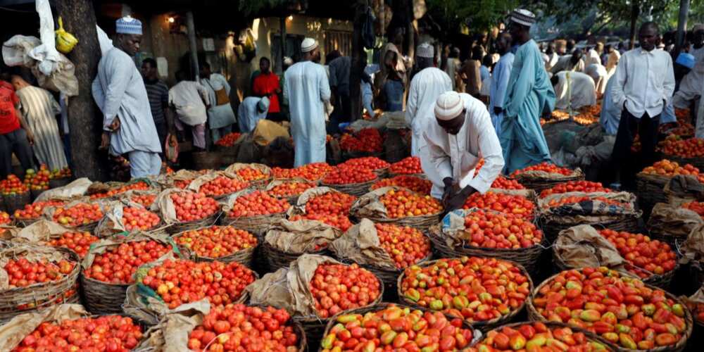 Tashin farashin masara, tumatur, dawa: Jihar Nigeria da ke fuskantar ƙarancin abinci Tashin farashin masara, tumatur, dawa: Jihar Nigeria da ke fuskantar ƙarancin abinci