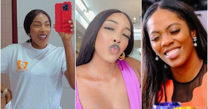 is tiwa and purple speedy sisters｜TikTok Search