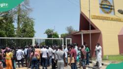 Nigerians react as NASU, SSANU end strike: "Was it meaningful?"