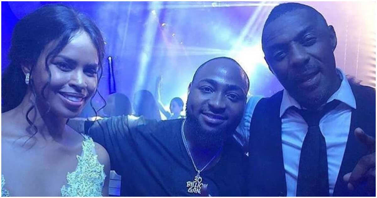 Image result for davido to morocco