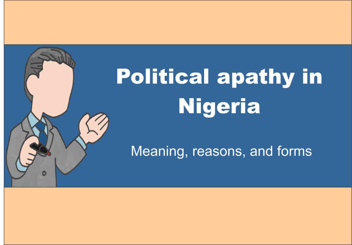 Top 10 Reasons For Political Apathy In Nigeria Explained Legit ng