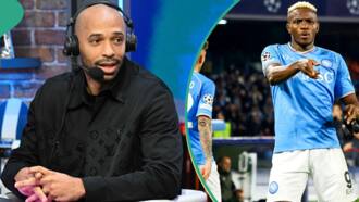 Beryl TV b96b35a2b029a2d8 “He Is Far Better”: Napoli Fans Pick Who Is the Better Striker Between Higuain, Osimhen and Cavani Entertainment 