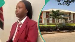 Lead British International School: 5 facts about Abuja school trending over bullying of girl Namtira
