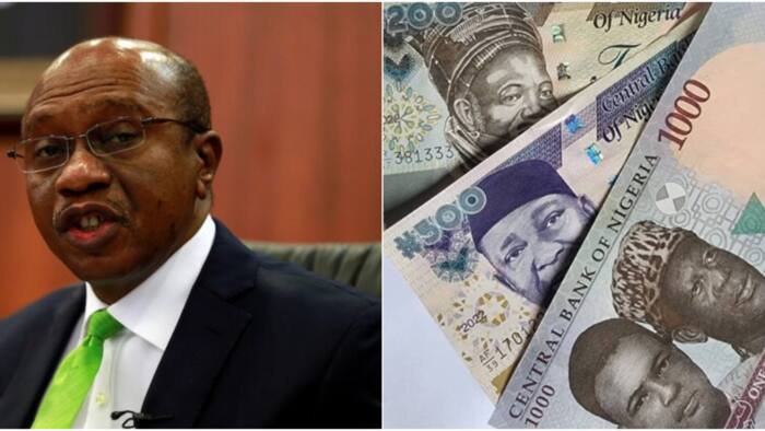 Old Naira notes: What CBN policy did to Abuja residents