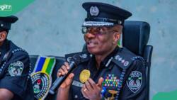 "Najeriya ba ta shirya ba": IGP Egbetokun ya yi adawa da kafa 'yan sandan jihohi