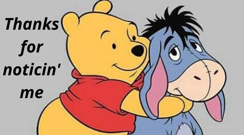 30 best Eeyore quotes that will turn your frown upside down!