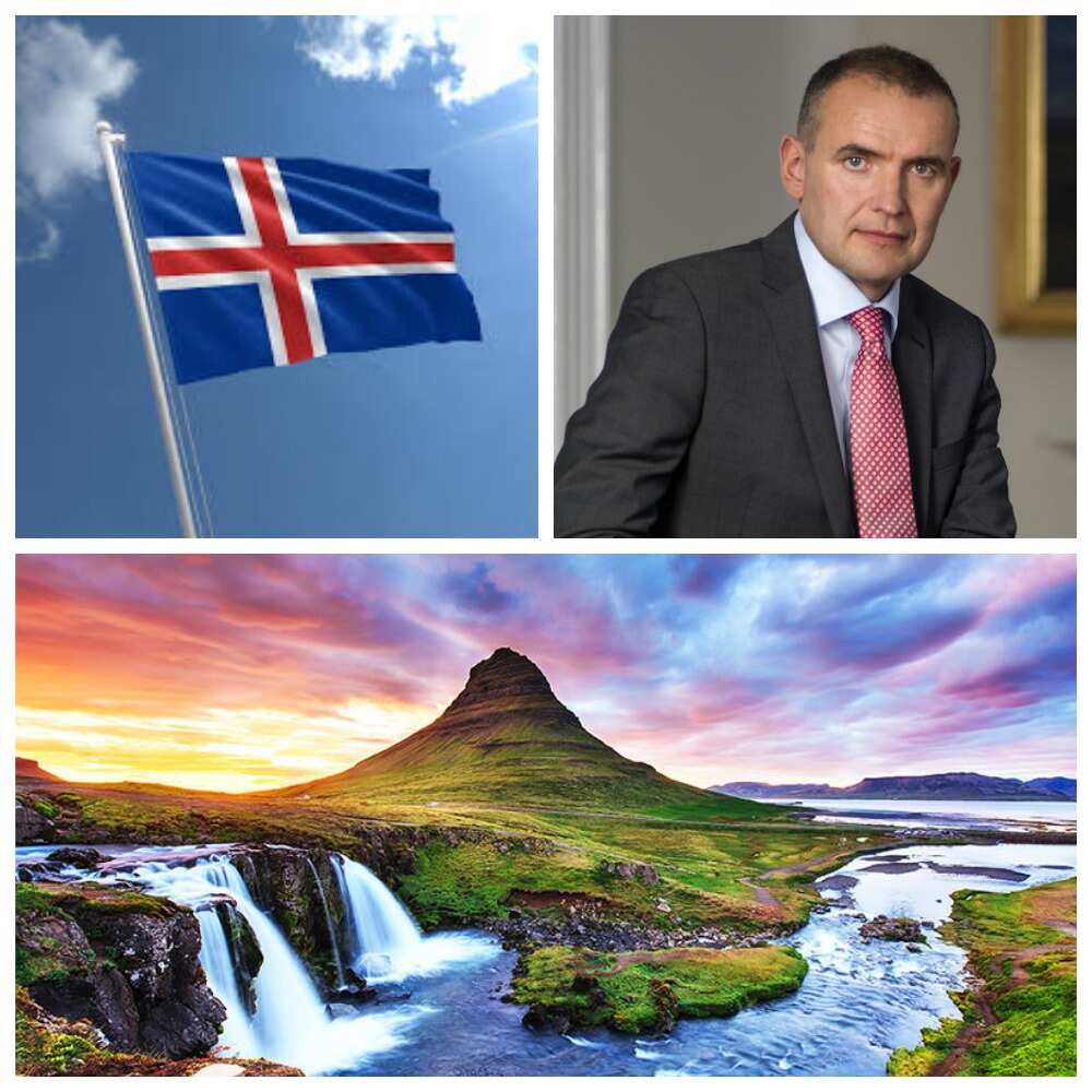 Iceland and Guðni Thorlacius Johannesson