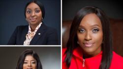 List of Nigerian companies with the highest number of female women representation on the board of directors