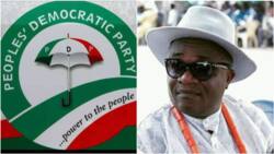 Saturday Election: PDP leader resigns few hours to poll, gives reason
