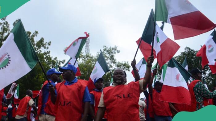 "It is fake": NLC dismisses plan to resume nationwide strike on Monday