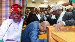 Godwin Emefiele: Tinubu’s CBN probe expands beyond bank officials, more names emerge