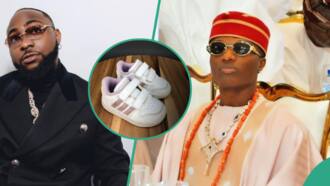 "Footlocker kids": Davido slams Wizkid's petite body, mentions his shoe size and where he buys them
