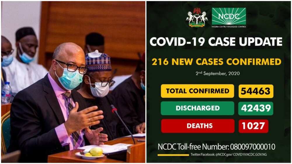 NCDC announces 216 new cases of Covid-19, total now 54,463
