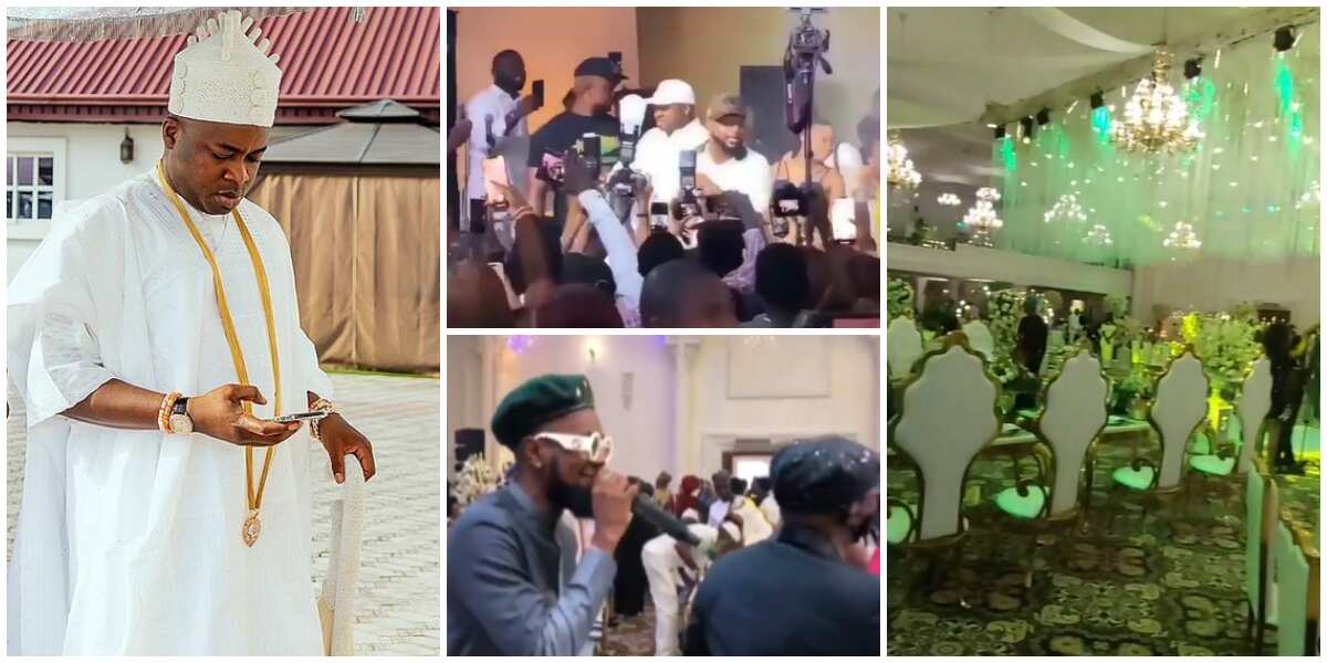 Davido, Naira Marley, Olamide, others storm Oba Elegushi's birthday party, thrill guests with hot performances