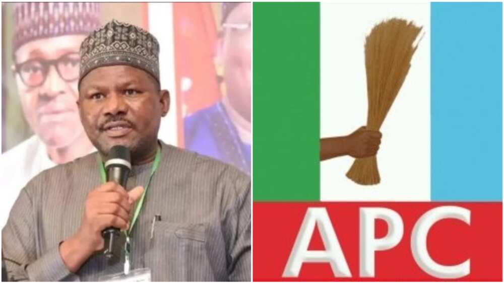 Abdullahi Shinkafi/APC/Zamfara/Abuja/Bello Matawalle