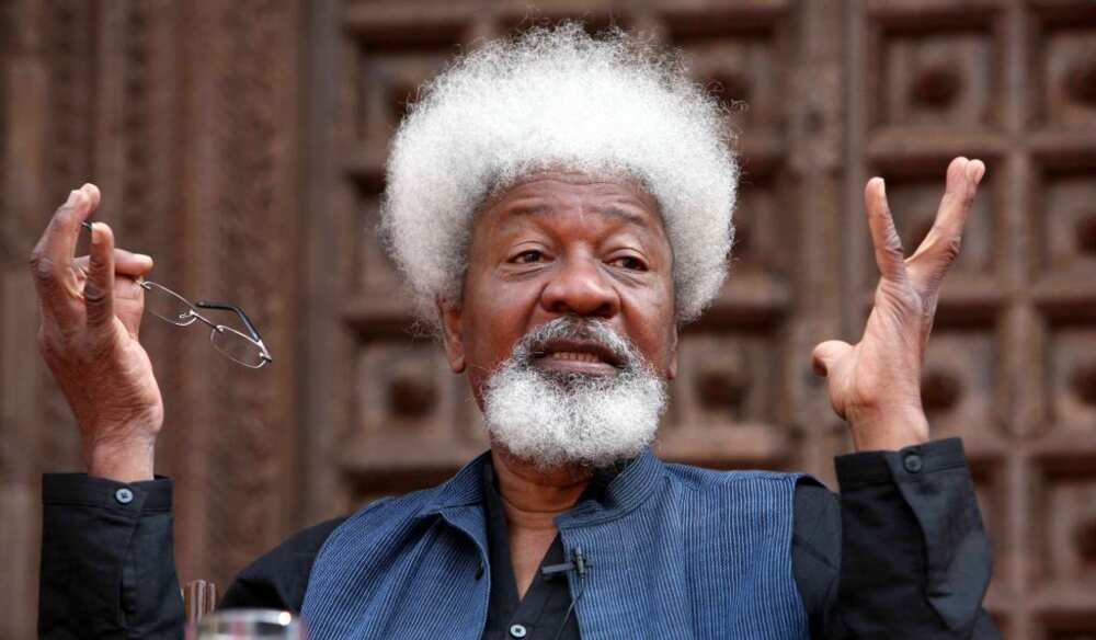 Wole Soyinka accuses police of denying herdsmen invasion on his property