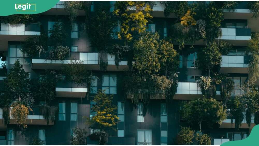 Eco-brutalism Eco-brutalism
