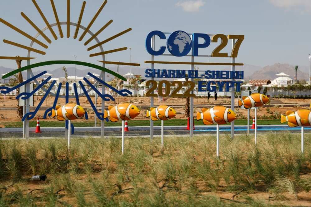 The COP27 climate conference enters its second week with countries still far apart on key issues