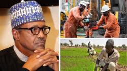 Trade, oil and gas, 3 other sectors contribute over N47 trillion to Nigeria's economy