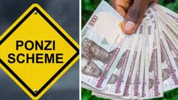Top 7 critical signs to spot a Ponzi scheme before you are scammed