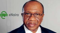 Central Bank of Nigeria expresses displeasure commercial banks are ignoring eNaira a month after launch