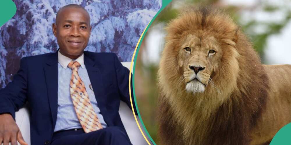 How OAU zookeeper was killed while trying to rescue woman from lion