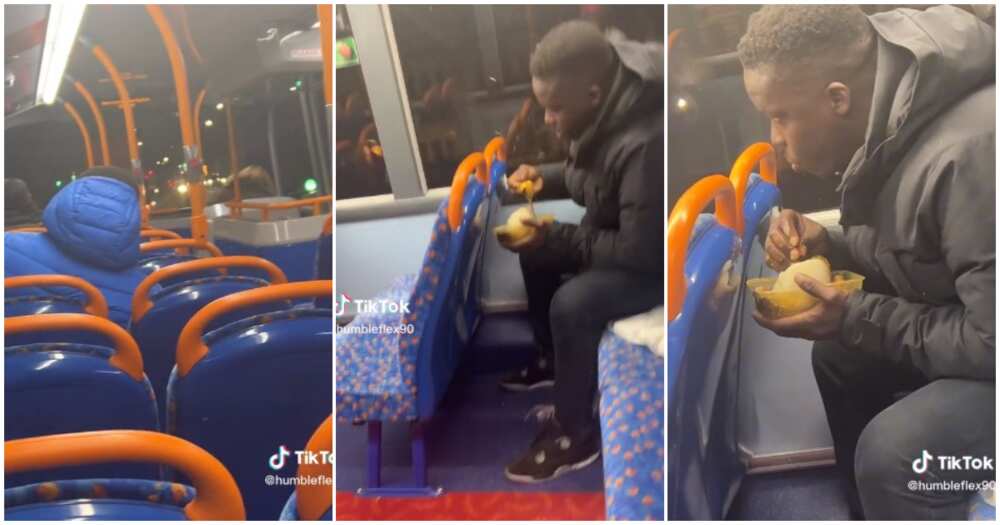 UK, swallow in a UK bus UK, swallow in a UK bus