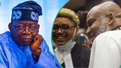 Massive victory as Court orders Tinubu's govt, south-east governors to pay Nnamdi Kanu N8billion