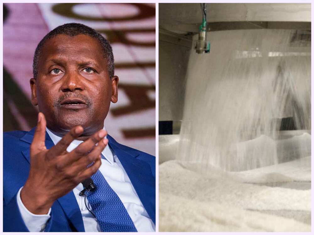 dangote sugar dangote sugar