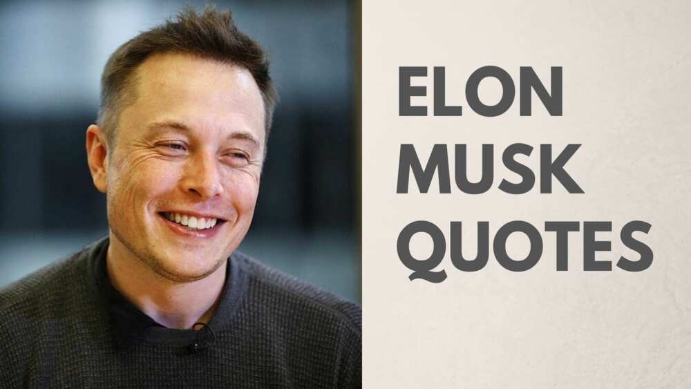 Elon Musk motivational quotes