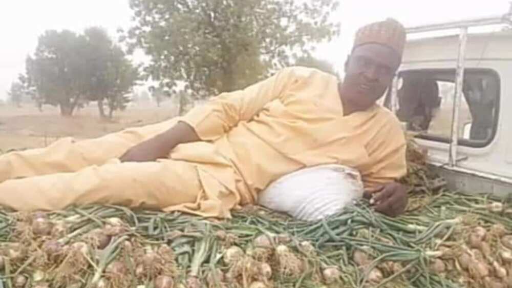 Ibrahim Umara, had a big harvest