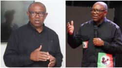 UK immigration saga: Peter Obi finally shares details about attempt to clone his identity