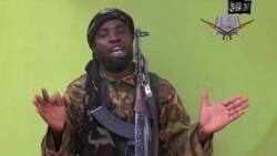 Abubakar Shekau: Maiduguri residents react to reported death of Boko Haram leader