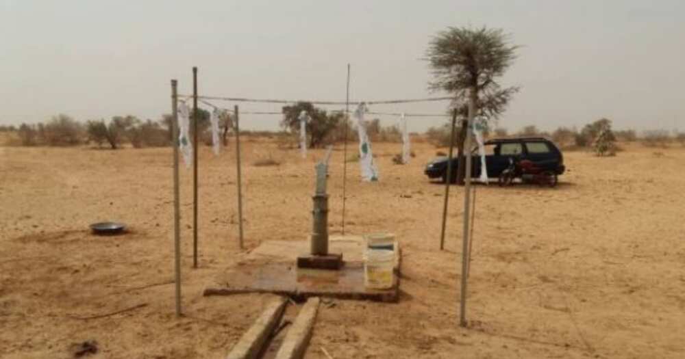 Gateman rejects house offer from boss of 25 years, asks for borehole in community