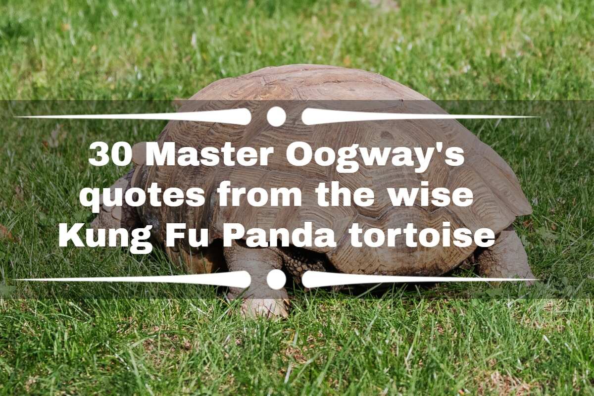 30 Master Oogway's quotes from the wise Kung Fu Panda tortoise