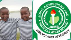 "Very intelligent twins": UTME results of Nigerian twins emerge online, their scores amaze people